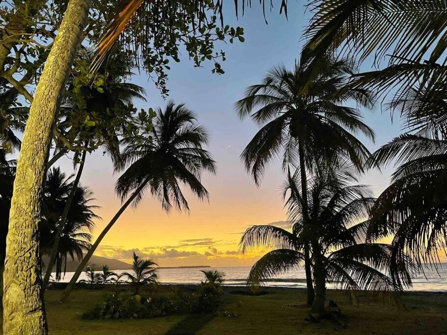 *New Campomar Beachfront 2Bdrm Villa In Arroyo Exterior photo
